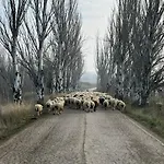 Santuario De Sancho Abarca