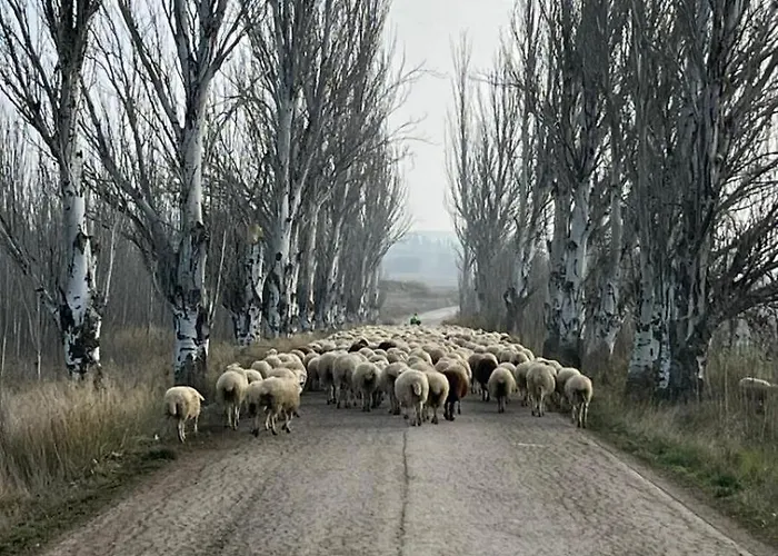 Santuario De Sancho Abarca